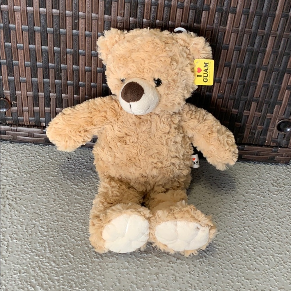 Teddy bear plush toy
